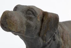 Blakeley, Hond