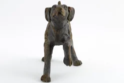 Blakeley, Hond