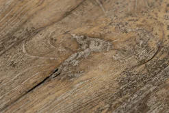 Dineen, Bijzettafel, Hout, Bruin, L