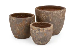Kronob, Planter, S