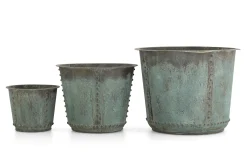 Manoli, Planter, M