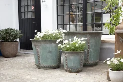 Manoli, Planter, S