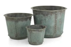 Manoli, Planter, S