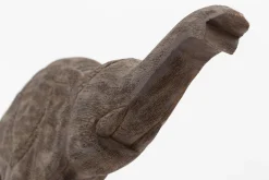 Remi, Olifant, Hout