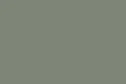 Vert De Gris
